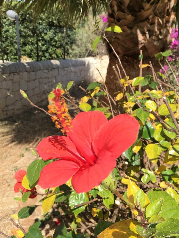 Hibiscus Rosso Villa Donnalucata  Eksteriør billede
